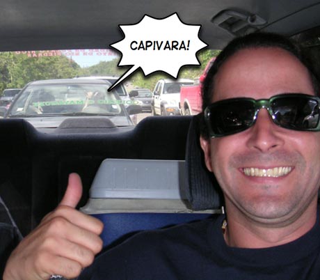 Capivara!